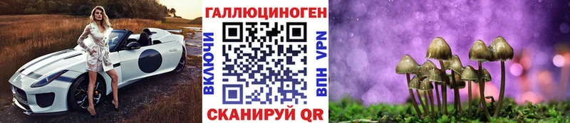 дарнет шоп  Таруса  Галлюциногенные грибы Psilocybine cubensis 